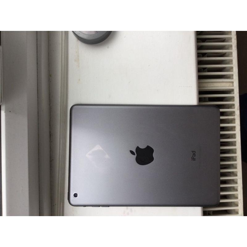 iPad mini 16gb - 1st gen