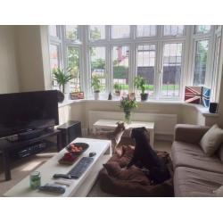 double room available