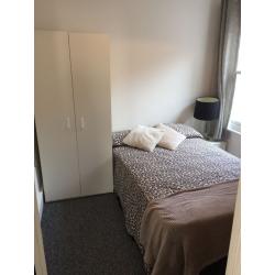 great room in tooting broadway available now