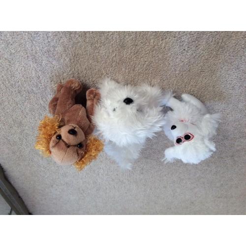 Cuddly Toys in 'familys' !