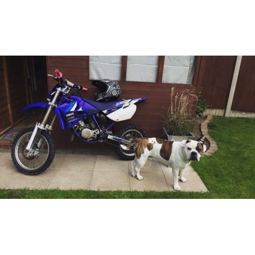 Yz 85 2009