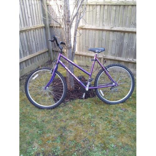 Raleigh ladies bike
