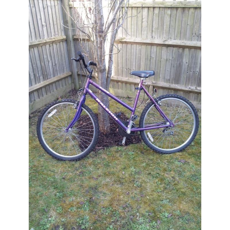 Raleigh ladies bike