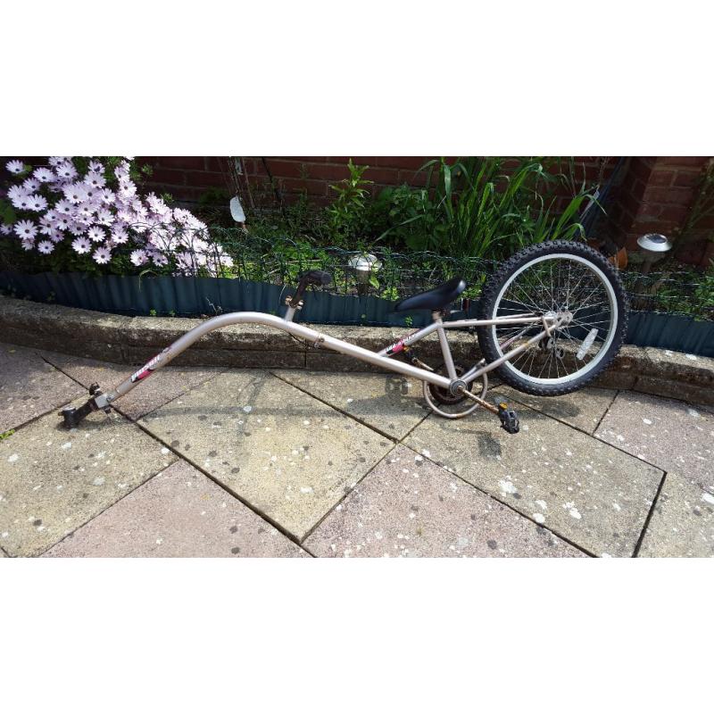 Tag along Bike