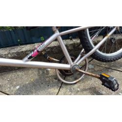 Tag along Bike