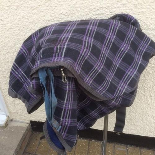 Horse blanket