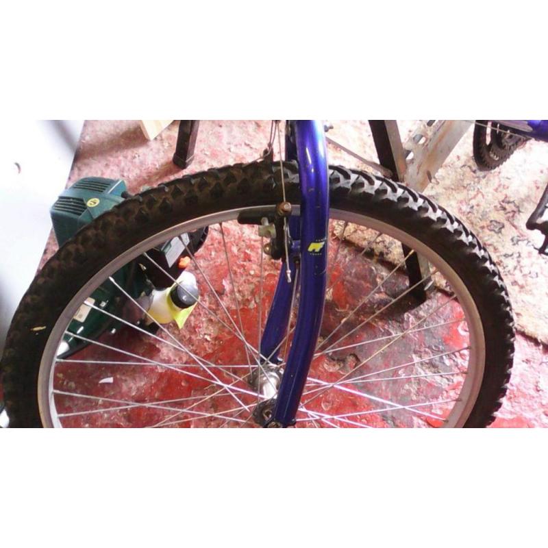 Mountain bike