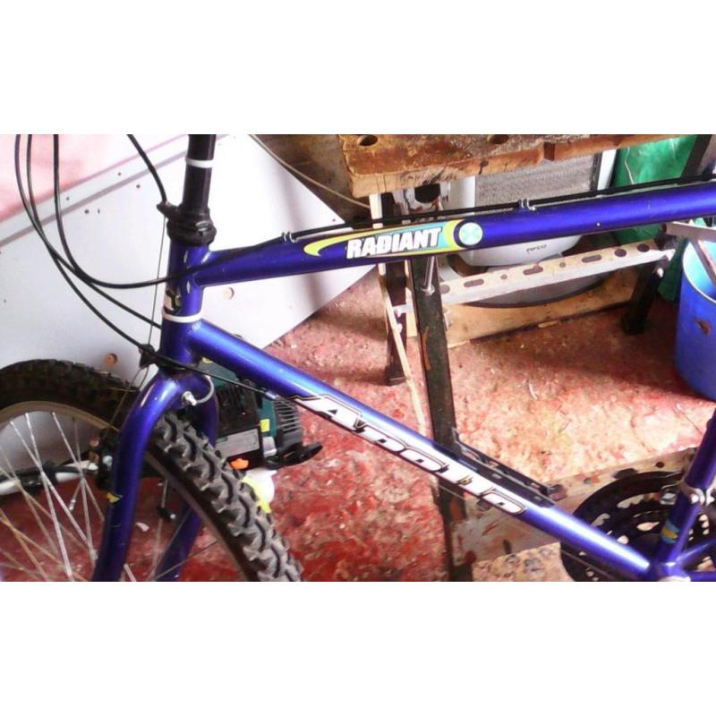 Mountain bike
