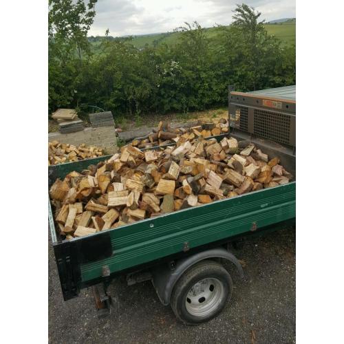 Transit tipper load of logs