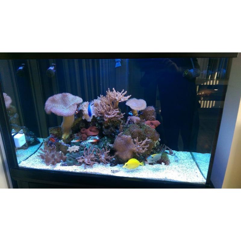 full marine setup mint