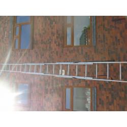youngman triple ladders