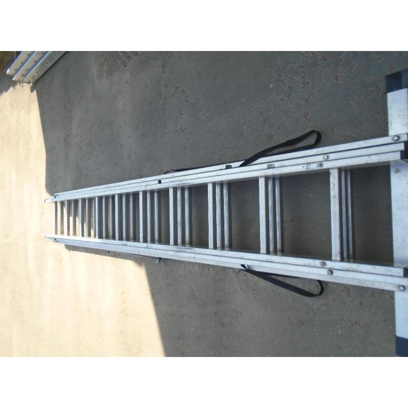 youngman triple ladders