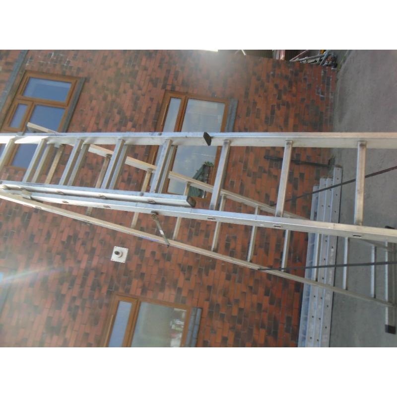 youngman triple ladders