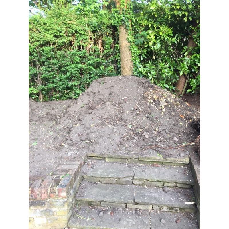 Top soil - loose roots - like powder