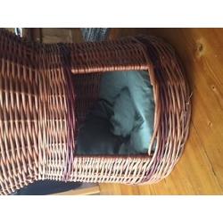 Cat Basket 2 Tier