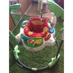 Fisher Price Rainforest Bouncer