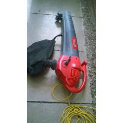 Leaf blower