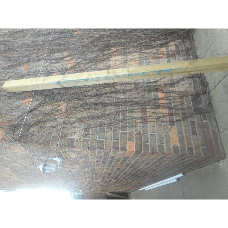 4 x 4 Tanalised fence post
