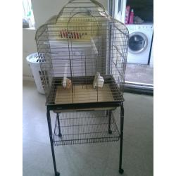 large gold cockatiel cage