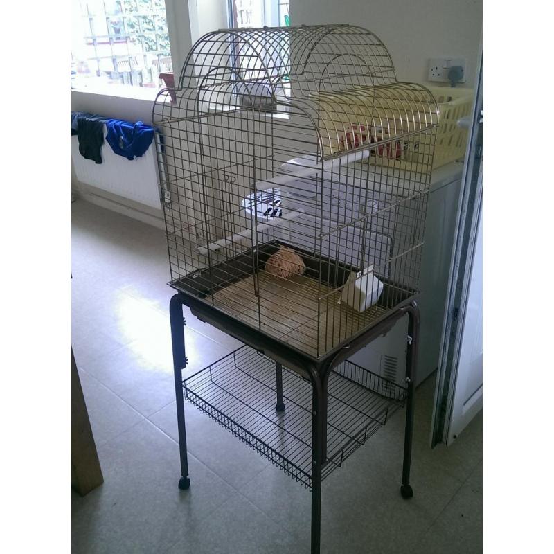 large gold cockatiel cage