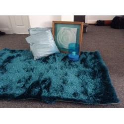Teal bedroom/living room set- rug, cushions , picture frame and vase