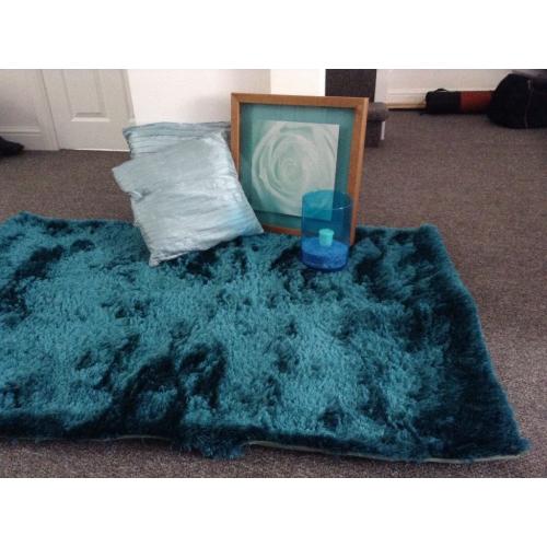 Teal bedroom/living room set- rug, cushions , picture frame and vase