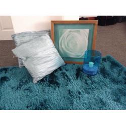 Teal bedroom/living room set- rug, cushions , picture frame and vase