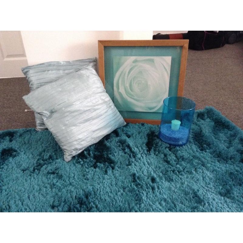 Teal bedroom/living room set- rug, cushions , picture frame and vase