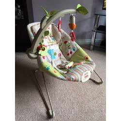Baby Bouncer