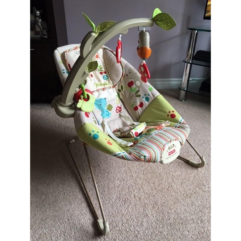 Baby Bouncer