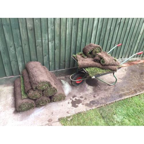 Turf