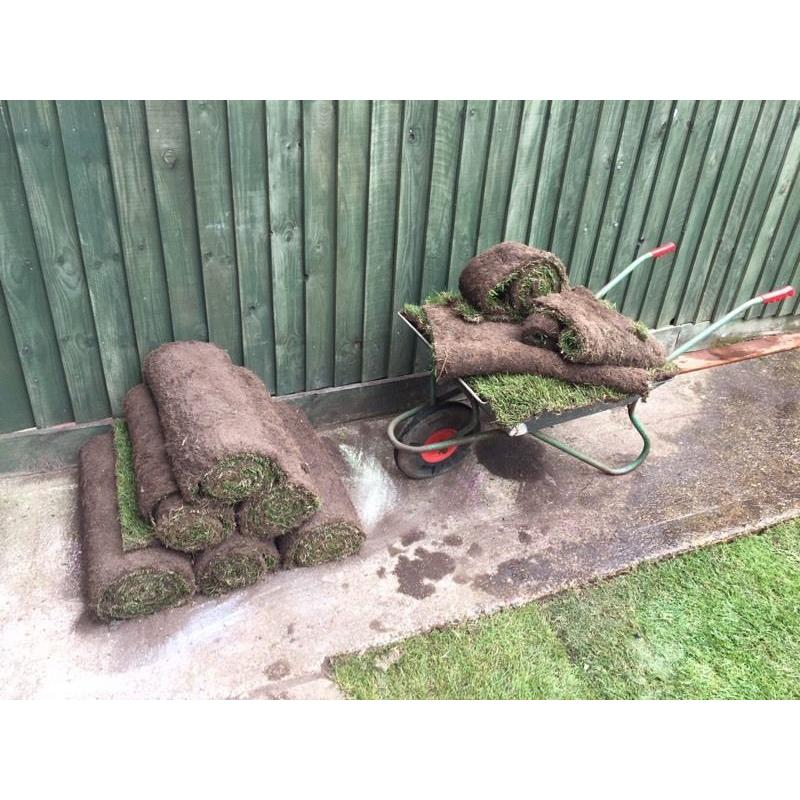Turf