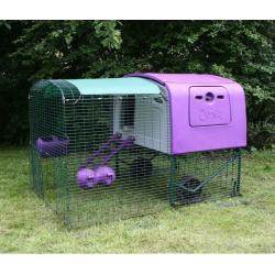 Omlet Purple Eglu Cube with 2m Run & Accessories