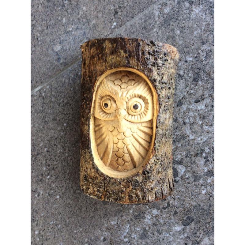 Owl in a log - brand new