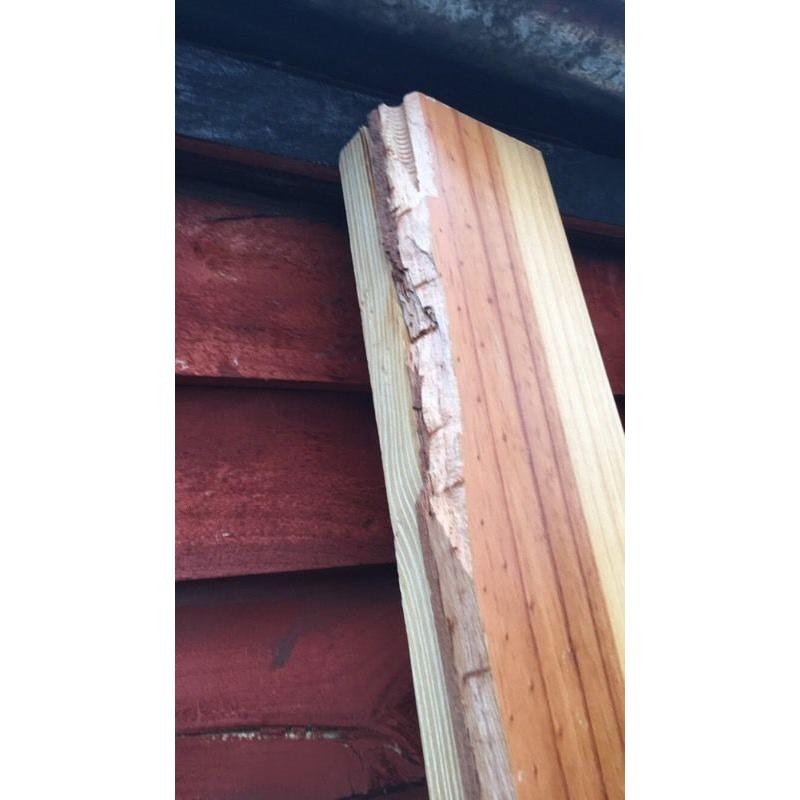 Single pine bed