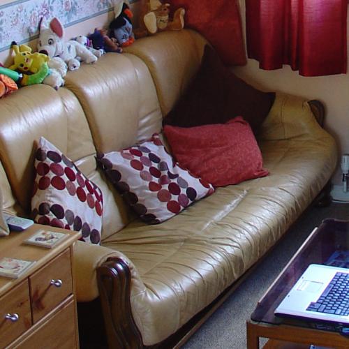 Free Leather Sofa