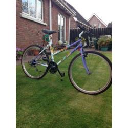 Ladies Bycicle