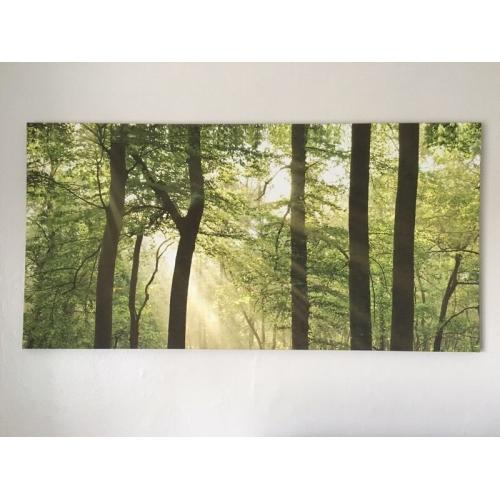 Canvas with forest scene