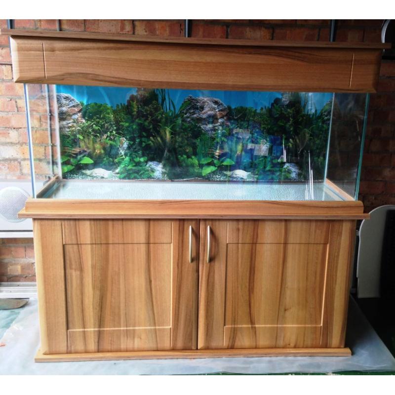 Fish tank aquarium