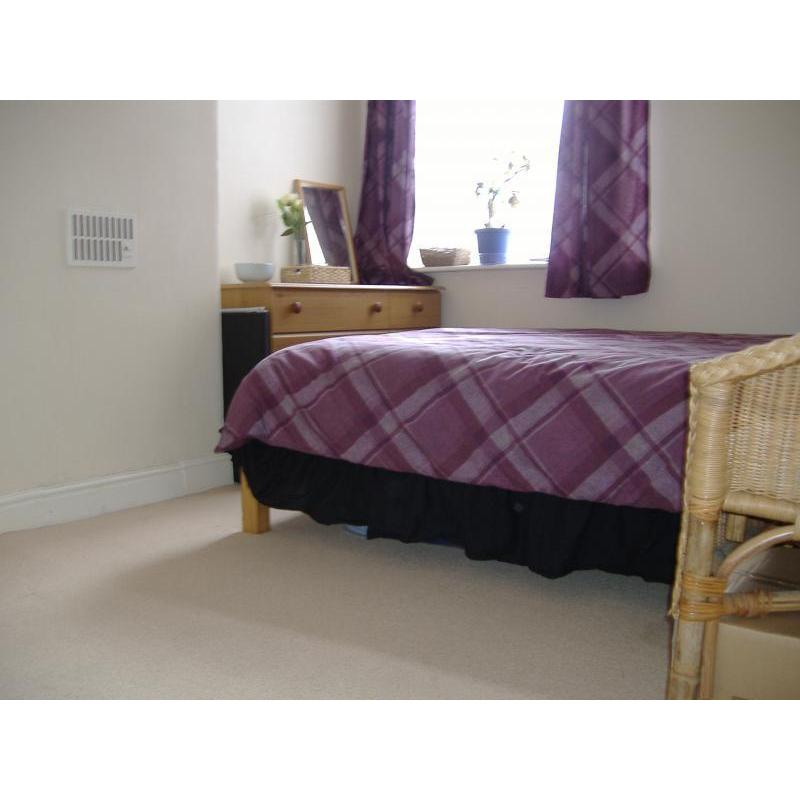 Friendly Housemate Wanted