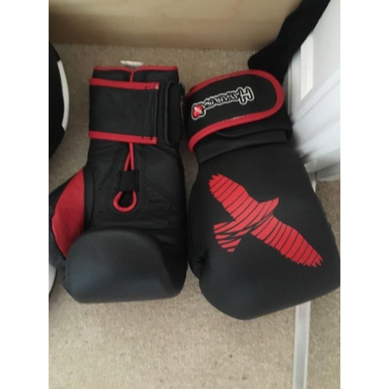 Hayabusa boxing