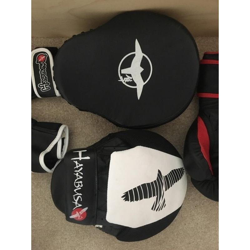Hayabusa boxing