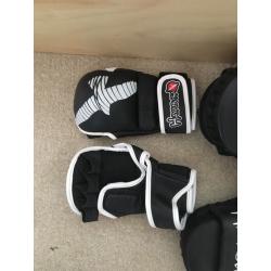 Hayabusa boxing