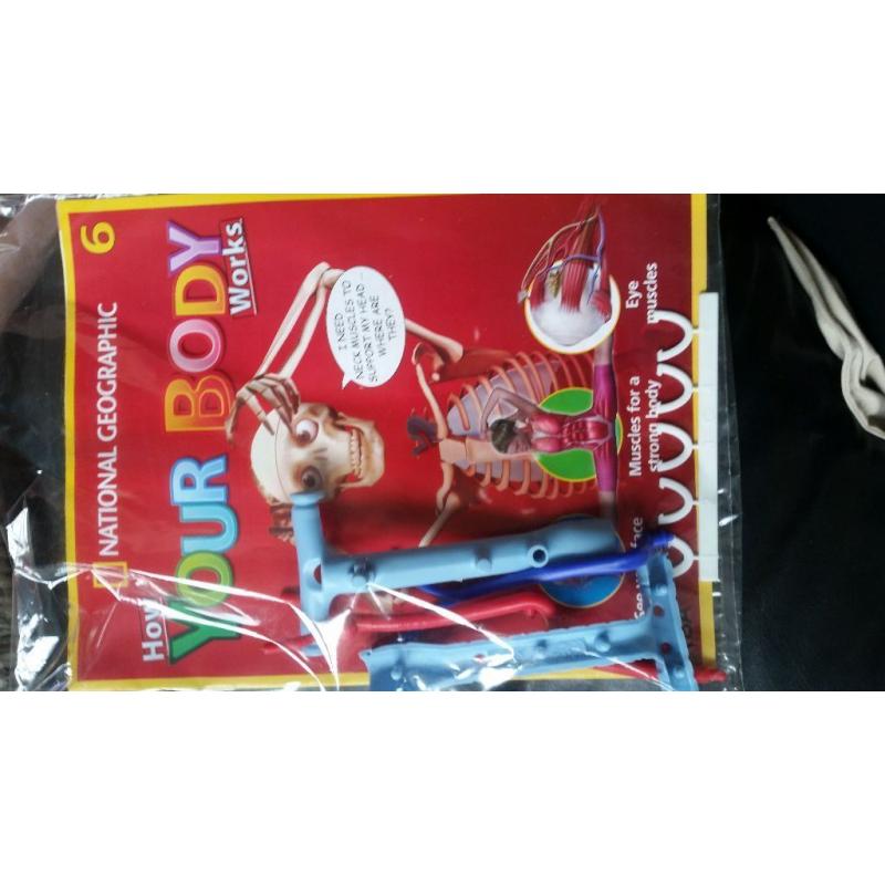 How your body works magazine