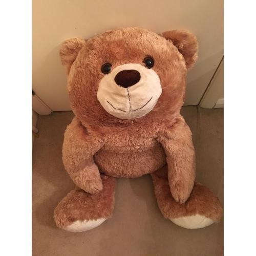 Grand Gentil Teddy.