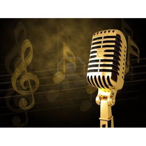 FEMALE SINGER/ SONGWRITER REQUIRED