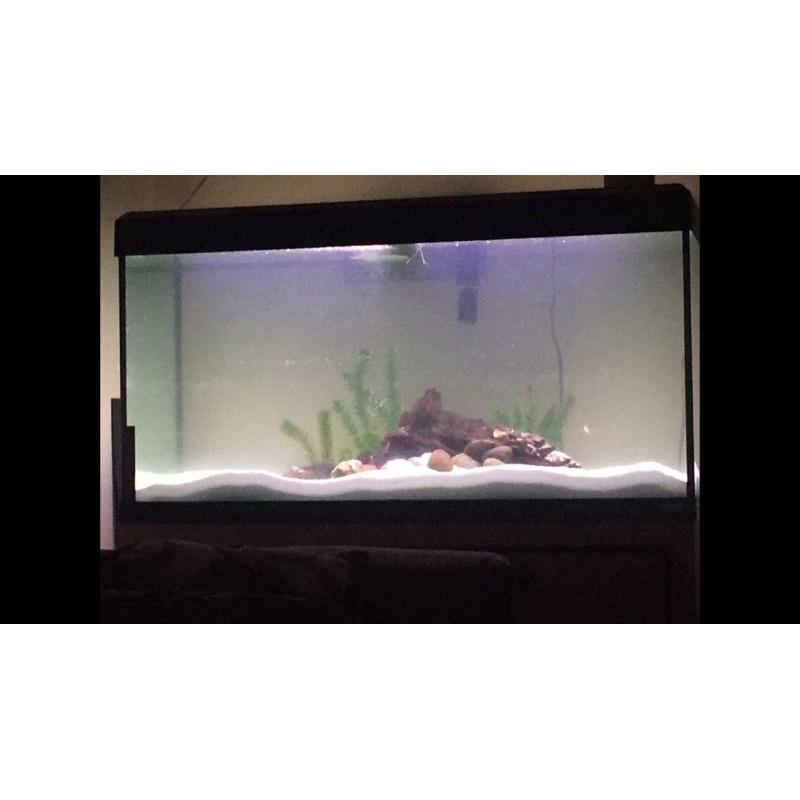 180 litre fish-tank + cabinet for sale