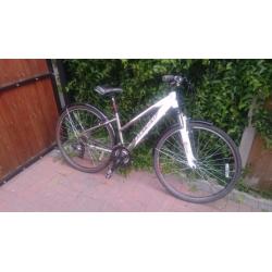 Small Ladies Bicycle