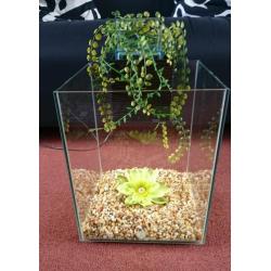 Aquarium Fish Tank. Fluval Chi 19 litres. *EXCELLENT CONDITION*