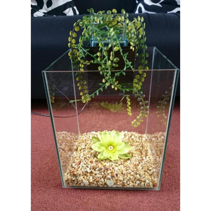 Aquarium Fish Tank. Fluval Chi 19 litres. *EXCELLENT CONDITION*